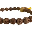 Rudraksha mala 27 szemes karmala 19 cm kerületű