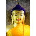 Buddha születésének ünnepe