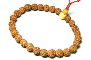 Rudraksha mala 27 szemes karmala KIS MÉRET 15 cm kerületű
