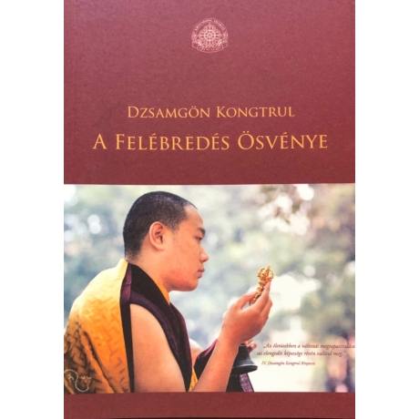 jamgon-kongtrul-rinpoche-a felebredes-osvenye-konyv