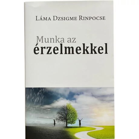 munka-az-erzelmekkel-lama-jigme-rinpoche-konyv