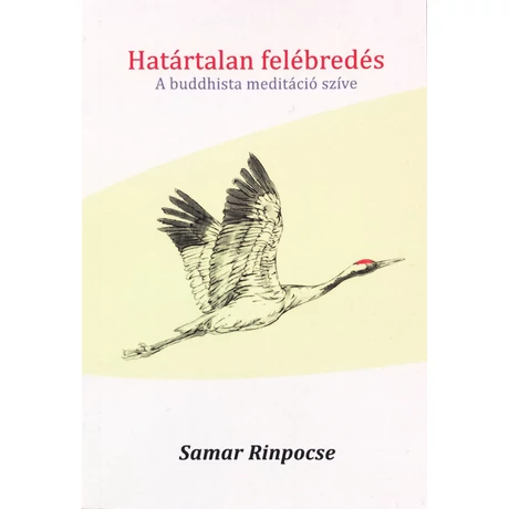 shamar-rinpoche-hatartalan-felebredes-konyv